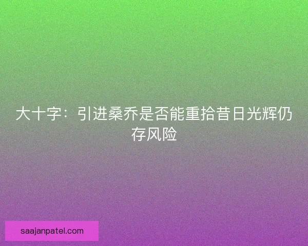 大十字：引进桑乔是否能重拾昔日光辉仍存风险