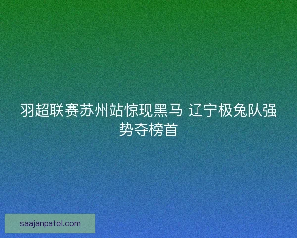 羽超联赛苏州站惊现黑马 辽宁极兔队强势夺榜首
